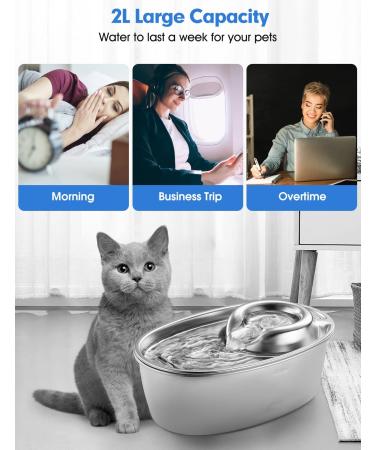 WOPET Stainless Steel Cat Water Fountain 67oz/2L - Silent Pet Drinking Fountain with Filter for Dogs, Cats, Birds, Small Animals - Buy Online on SooperMarket.com