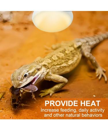 REPTI HOME Reptile Heat Lamp Bulbs 2 Pack 100W Heat Lamp for Reptiles E27 Basking Light Bulb for Vivarium Turtle Lizard Tortoise Bearded Dragon Puppy Chick - Buy Online on SooperMarket.com