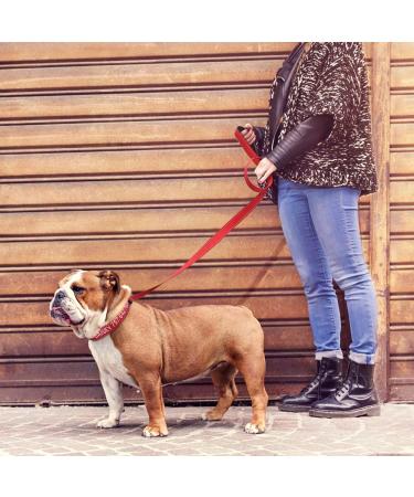 Personalized Reflective Dog Collar & Leash Set for Large Dogs - Tagme 1.5m Double-Sided Leash Red - Perfect for Safe Walks - Buy Online on SooperMarket.com