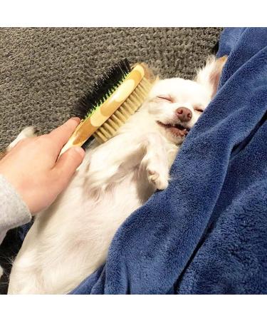 Grooming Brush for Dog & Cat 2 in 1 Dog Pin Brush and Bristle Soft Brush Dogs Comb and Brush for Cleaning Loose Fur & Dirt Msuitable for Long and Short-haired Dogs or Cats - Buy Online on SooperMarket.com