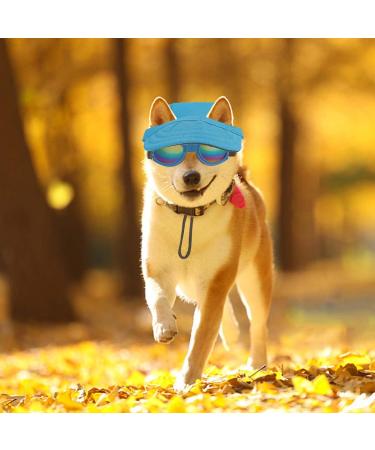 WEBEEDY 2 Sets Dog Hat and Sunglasses Set Summer Sunbonnet Adjustable Stripe Baseball Cap Pet Puppy Sunglasses for Outdoor Use - Buy Online on SooperMarket.com