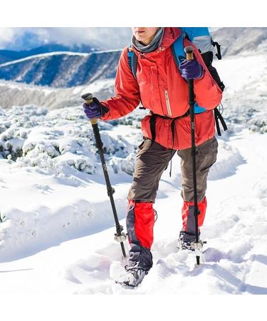 Cane Ice Tip Attachment 2PCS Stainless Steel 5-Prong Ice Tip for Cane Universal Cane Ice Tip Non-Slip Ice Grip for Winter Snow Safety Cane Ice Tip Attachment - Buy Online on SooperMarket.com
