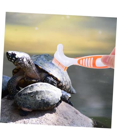 Beaupretty Turtle Shell Cleaning Brush grip cleaning brush turtle cleaning brush aquatic animal cleaning brush hamster cleaning brush toothbrush cleaner tool reptile care plastic water turtle 16x5cm As Shown 2 - Buy Online on SooperMarket.com