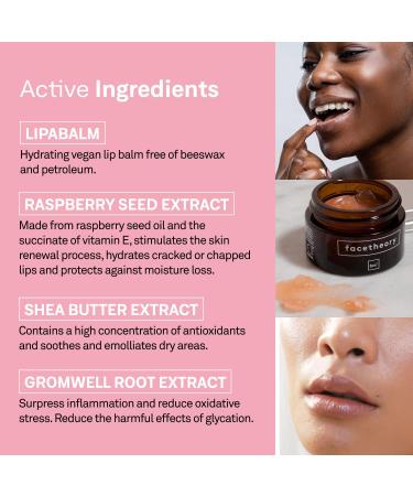 facetheory Lipabalm LP1 - Daily Lip Balm and Lip Conditioner Hydrate and Repair Dry Chapped Lips Vegan Lip Balm Vegan & Cruelty-Free Made in UK | 15 - Buy Online on SooperMarket.com