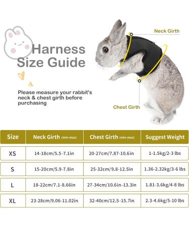 Adjustable Soft Rabbit Dishes & Elastic Leash for Small Animals | XL Black Pet Dishes & Walking Leash for Bunnies & Cats - Buy Online on SooperMarket.com