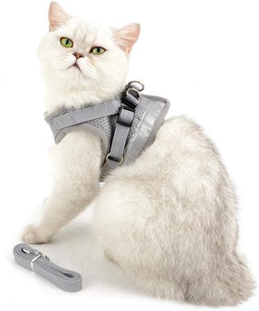 Ranphy Cat Dishes with Leash - Breakproof Reflective Padding Harness for Small Cats | Soft Fabric Puppy Dishes | XS Size (Chest 26 cm) - Gray - Buy Online on SooperMarket.com