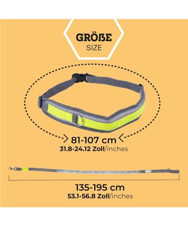 Vitazoo Jogging Line for Dogs | Elastic Running Leash with Adjustable Belt & Reflective Sections | Best Dog Jogging Leash with Belt Bag - Buy Online on SooperMarket.com