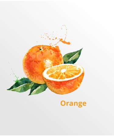 purSHEA - Organic Shea Butter - 100% Natural - Velvety Soft Consistency - Rich Skin Care in Organic Quality - Plastic-Free - 250 ml (Orange) - Buy Online on SooperMarket.com