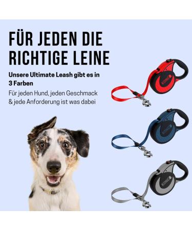 Kong Roll-Out Dog Leash 5m | XL for Large Dogs Up to 70kg | High-Quality Roller Leash with Break & Lock System | Soft Handle & Reflective Belt in Red - Buy Online on SooperMarket.com