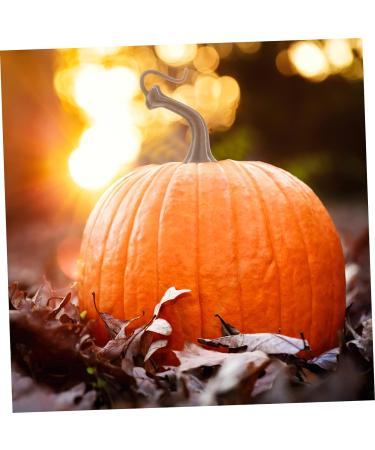 ABOOFAN 200 Pcs Pumpkin Put Pumpkin Stems Fake Plastic Pumpkin Head Pumpkin Ornament Halloween Pumpkin Stems Pumpkin Diy Handle Lantern Decor Plastic Pumpkin Handle Accessories Artificial - Buy Online on SooperMarket.com