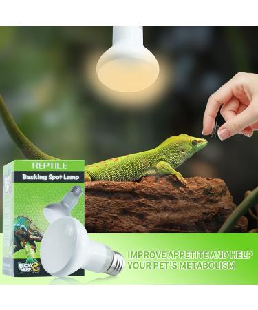 LUCKY HERP Reptile Heat Lamp 50W 2 Pack Amphibian Basking Spot Light Bulb Reptile Daylight Bulb for Turtle Bearded Dragon Lizard Heating Use 50W(2 Pack) - Buy Online on SooperMarket.com
