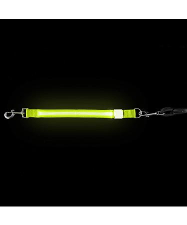 Furhaven Pet Hands-Free Bungee Dog Leash with LED Collar and Safety Features - Multiple Colors and Sizes - Buy Online on SooperMarket.com