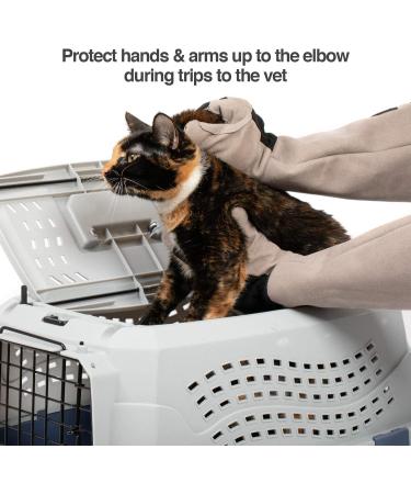 PetFusion Multipurpose Pet Glove for Grooming, Vet Trips & Handling - Medium, Grey - Buy Online on SooperMarket.com