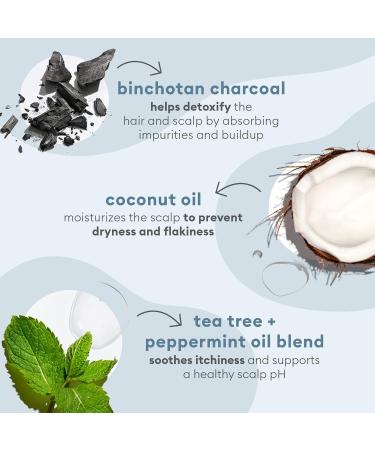 Briogeo Scalp Revival Charcoal + Tea Tree Cooling Scalp Mask - Hydrating Treatment for Dry, Itchy Scalp | 177ml - Buy Online on SooperMarket.com