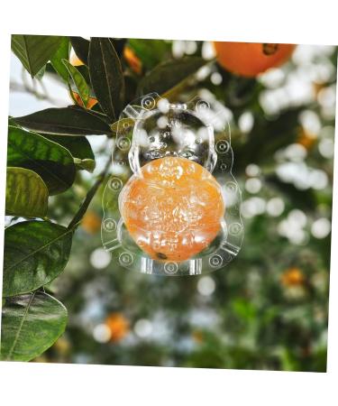 ORFOFE 2pcs Shaped Growth Fruit Buddha Baby Shaper Small Watermelon Accessories - Buy Online on SooperMarket.com