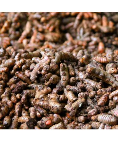 Organic Turmeric - 250g Pure Ground Root - High Curcumin 5.5% | Pfefferdieb - International Shipping Available - Buy Online on SooperMarket.com