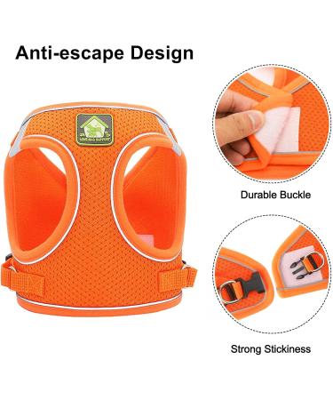 Buy Zhenle Adjustable Cat Harness for Small Animals - Perfect Fit & Comfort for Cats (M) - International Shipping Available - Buy Online on SooperMarket.com