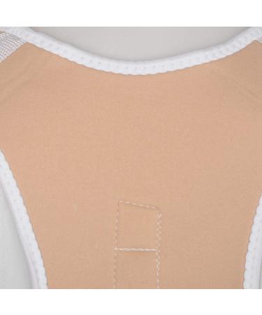 Jalzdieod Orthopedic Back Support Magnetic Posture Corrector-L 243224A2 - Buy Online on SooperMarket.com
