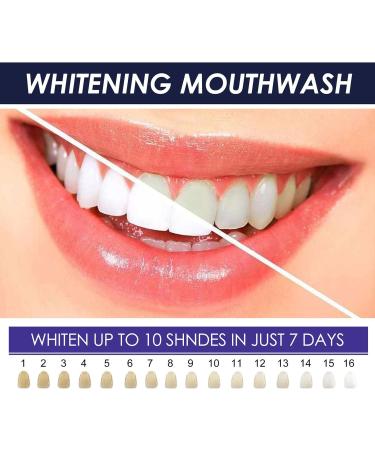 12PCS Disposable Mouthwash - Deep Cleaning Teeth Whitening & Fresh Breath | Premium Oral Care Solution - Buy Online on SooperMarket.com