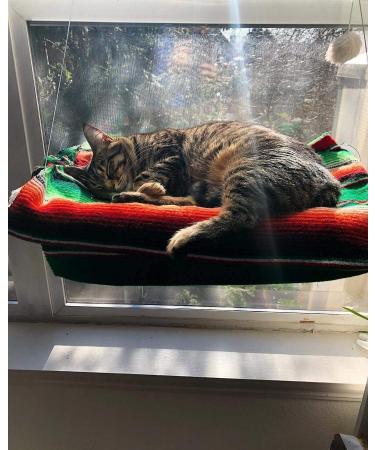 Lcybem Cat Window Hammock - Sturdy Suction Cups Window Perch for Cats - Holds Two Large Cats - 360 Sunbathe - Indoor Cat Window Seat - Buy Online on SooperMarket.com