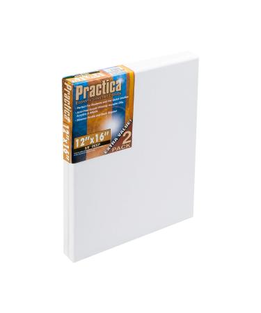 Practica Economy Stretched Cotton Canvas - Acid-Free Acrylic Primed Canvas for Acrylics Pastels Graphite & More! - 2-Pack - 12x16
