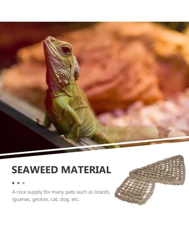 POPETPOP Reptichip 2pcs Lizard Hammock Jungle Climber Reptile Lizard Bearded Dragon Hammock Reptile Lounger Hammock Bed for Anoles Bearded Dragons Geckos Iguanas Hermit Crabs Jungle Toys - Buy Online on SooperMarket.com