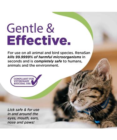 RenaSan Animal First Aid Spray (100ml) - Veterinary-Grade Skin Protection for Dogs, Cats & More - Fights Infection, Kills Bacteria, Stops Itching - Alcohol-Free & Non-Irritating - Buy Online on SooperMarket.com