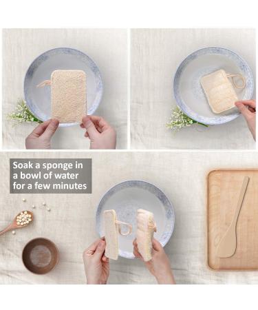 Eco-Friendly Eplanita Natural Dishes Ruts (6-Pack) - Biodegradable Kitchen Scrub Scourer | Zero Waste Luffa Plant - Buy Online on SooperMarket.com