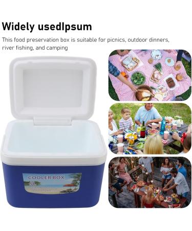 Insulin Cooler Box 5L Portable Insulin Cooling Travel Bin for Outdoor Medicition Food (Blue) - Buy Online on SooperMarket.com