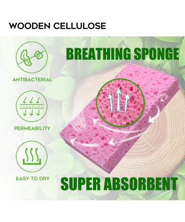 Biodegradable Colored Kitchen Sponge 16-Pack - Non-Scratch Cellulose Dishwashing Sponge - Natural Cleaning Scrub - 16 Count - Buy Online on SooperMarket.com