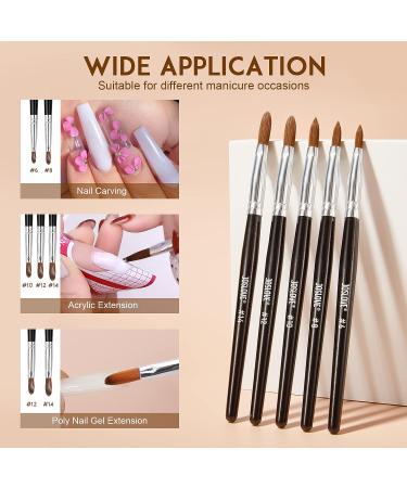 JOSLOVE 5Pcs Kolinsky Acrylic Nail Brush Set - Sizes 6/8/10/12/14 for Acrylic Powder Application - Wooden Handle - Ideal for Beginner & Professional DIY Nail Extensions - Buy Online on SooperMarket.com