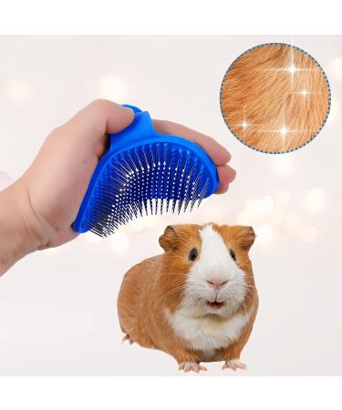 Bunny Grooming Kit: Rabbit Brush, Hair Remover, Nail Clipper, Comb & Bath Brush in Blue - Buy Online on SooperMarket.com