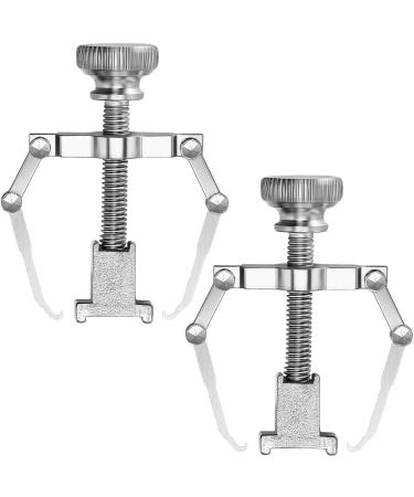 2 Pieces Ingrown Toenail Lifter Ingrown Toenail Tool Toe Clamp Stainless Steel Foot Care Tool for Paronychia (Silver)