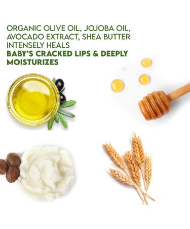 WBM Care Baby Lip Balm - Clean Natural Non-Toxic & Fragrance Free | Safe for Babies - Shop Now - Buy Online on SooperMarket.com
