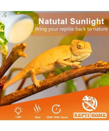 REPTI HOME Reptile Heat Lamp 2 Pack 50W Reptile Heat Lamp Bulbs Amphibian Terrarium Basking Spot Lamp for Reptile Bearded Dragon Lizard Turtle Snake - Buy Online on SooperMarket.com