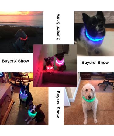 BSEEN LED Dog Collar Light - USB Rechargeable Glowing Collar for Small, Medium & Large Dogs in Green - Buy Online on SooperMarket.com
