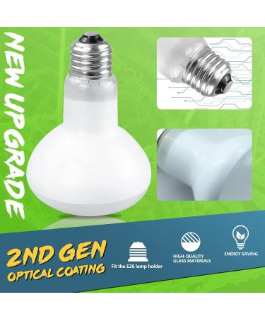 LUCKY HERP Reptile Heat Lamp 75W 2 Pack UVA Reptile Heat Lamp Bulb Amphibian Basking Spot Light Bulb Reptile Daylight Bulb for Turtle Bearded Dragon Lizard Heating Use 75W(2 Pack) - Buy Online on SooperMarket.com