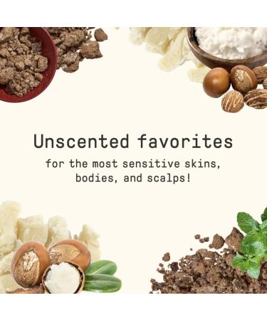 Alaffia Everyday Shea Unscented Body Lotion | Nourishing & Natural Moisturizer | International Shipping Available - Buy Online on SooperMarket.com