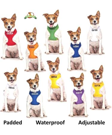 NERVOUS FriendlyDogCollars Colour Coded Dog Accident Prevention Leads 1.2m Prevents Dog Accidents By Letting Others Know Your Dog In Advance Award Winning NERVOUS Yellow - Buy Online on SooperMarket.com