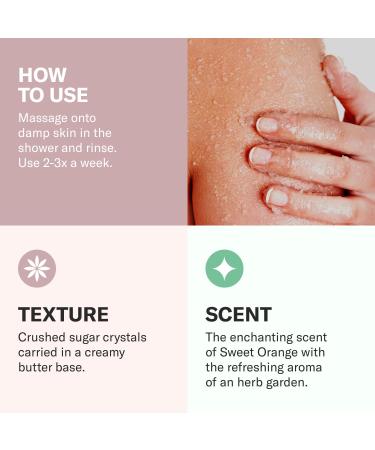 Odacit Jojoba Pearls Daily Hydra-Exfoliant - Vegan Hydrating & Firming Skincare for All Skin Types - Sensitive Skin Friendly - 1.69 oz - Buy Online on SooperMarket.com