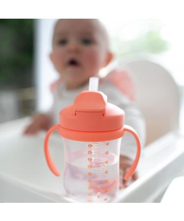 Dr. Brown's Milestones Baby's First Straw Cup Sippy Cup 6m+ Coral 9oz BPA Free - Buy Online on SooperMarket.com