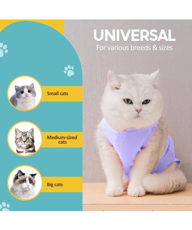 Avont Katzenbody - Post-Op Recovery Suit for Cats | Leak Protection Abdominal Wounds Skin Diseases | Size M - Lavender - Buy Online on SooperMarket.com