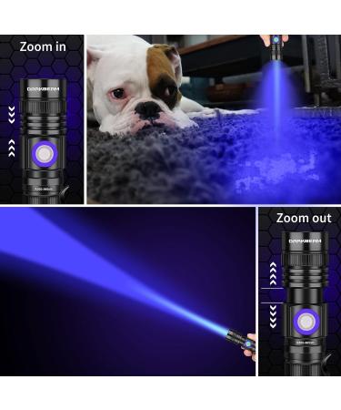 DARKBEAM UV Light Torch Ultraviolet Flashlight Rechargeable 365nm Wood's Lamp Black Light Blacklight Portable Mini Handheld LED Pet Urine Ringworm Detector Resin Curing Pocket-Sized - Buy Online on SooperMarket.com