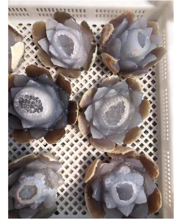 Room Decoration Natural Agate Geode Crystals Feng Shui Druzy Gemstones Quartz Water Lotus Ornament for Home Decoration - Buy Online on SooperMarket.com