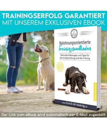 Dog is K nig Training Treat Feed Bag for Dogs | Compact Functional Quick Rewards + Feces Bag Dispenser & Training Book - International Shipping Available - Buy Online on SooperMarket.com