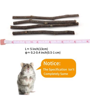 Natural Apple Sticks Treats for Small Animals - Chew Toys for Chinchilla, Guinea Pigs, Hamsters - 10.5 oz Pack - Buy Online on SooperMarket.com