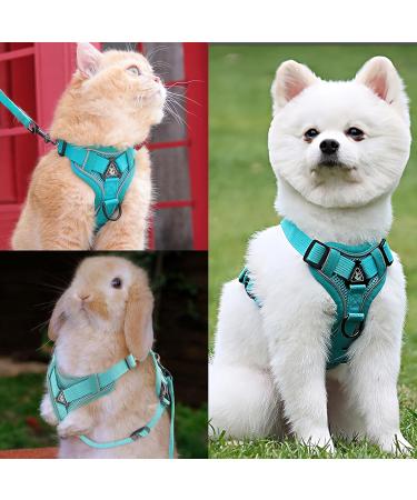 Fineasy Cat Dishes with Adjustable Leash - Outbreak-Proof Harness & Soft Cat Kitten Dog Breastware (Green S) | Shop Internationally - Buy Online on SooperMarket.com