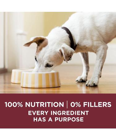 Purina ONE SmartBlend True Instinct Adult Canned Wet Dog Food Variety Pack - Turkey & Chicken 12 ct. 13 oz (Pack of 12) Gravy - Best for Dogs - Buy Online on SooperMarket.com
