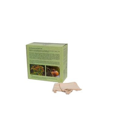 GREENWILL 3 Pounds Organic De-seeded Soap Berries/Soap Nuts +2 Wash Bags