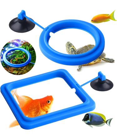 Molain Fish Feeding Ring 2 Pieces Fish Feeder Aquarium Fish Turtle Tank Accessories Food Feeder Circle For Guppy Bettas goldfish Turtle (Blue) - Buy Online on SooperMarket.com